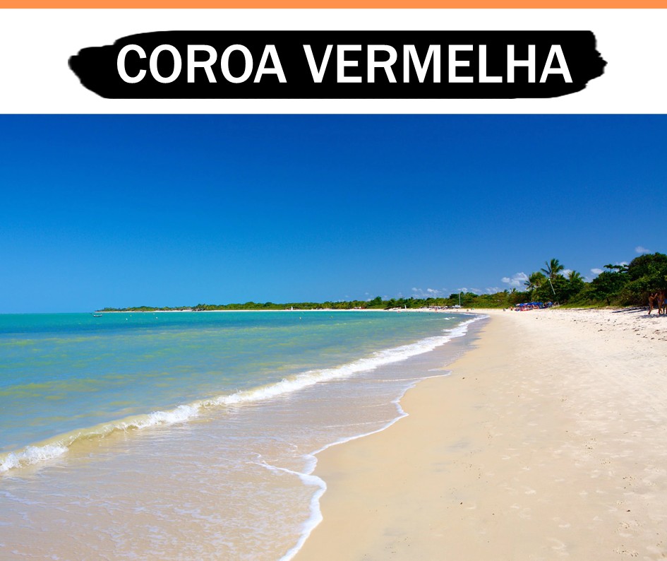 TM Receptivo Porto Seguro - Transfer e Passeios Porto Seguro - Bahia (9).JPG